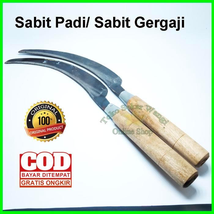 Arit Gergaji / sabit gergaji / alat panen padi murah / Kerong
