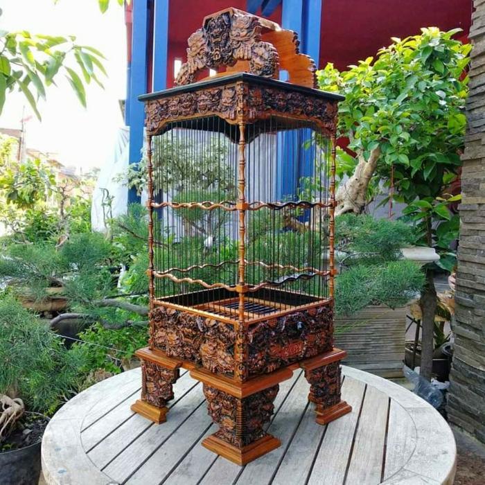 Sangkar burung l sangkar burung pleci l sangkar burung