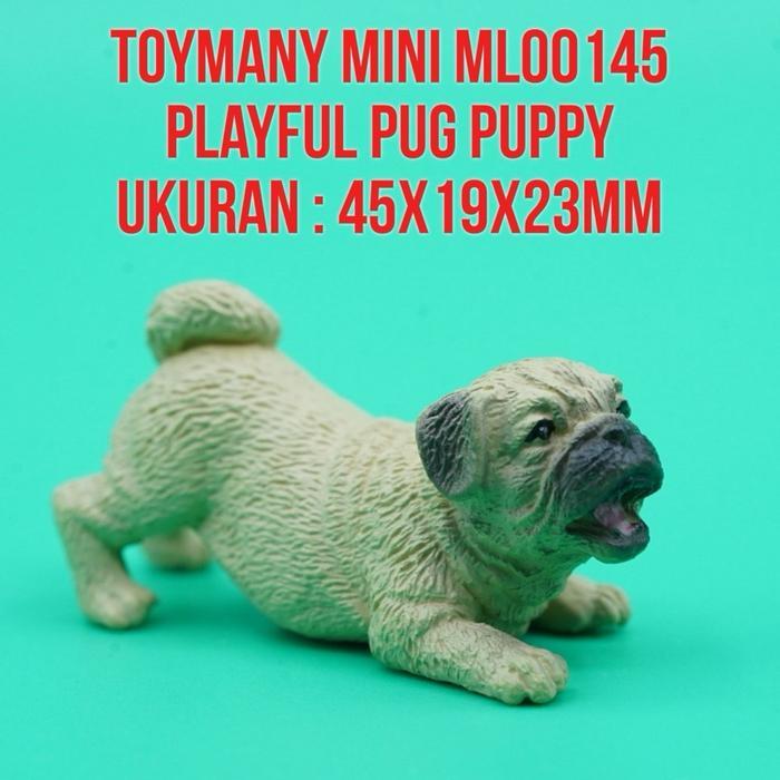 PROMO! ToyMany ML00145 Playful Pug Puppy Dog Anak Anjing Pug Canis Lupus Familiaris Ukuran