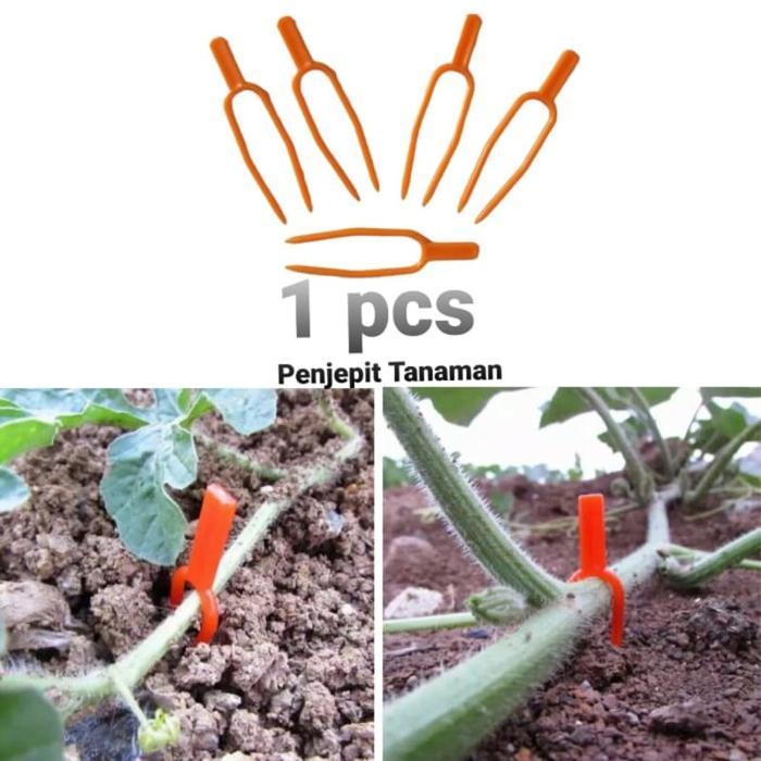 Klip Penjepit Tanaman Rambat Jepitan Batang Rambat