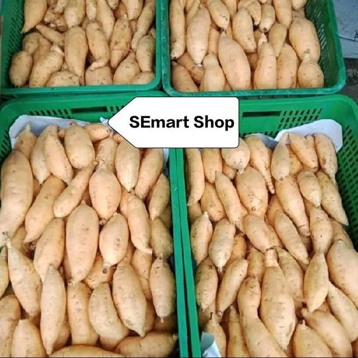 UBI MADU CILEMBU MINI BERAT 1 KG UBI MADU WONOGIRI TELO MADU MENTAH DIPANEN DARI BULUKERTO WONOGIRI