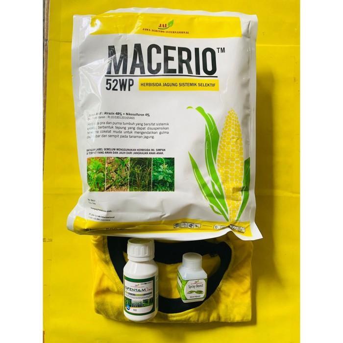 Herbisida Pra Purna Tumbuh Jagung Macerio 52Wp Dari Jawa Agrindo