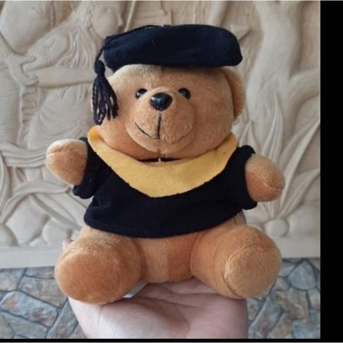 rskz- Boneka Untuk Hiasan Bucket/Boneka Wisuda