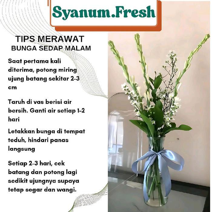 Flash Sale Bunga Sedap Malam Jumbo Isi 10 Tangkai Fresh Vas Semi Latex Yellow White Heart Artificial