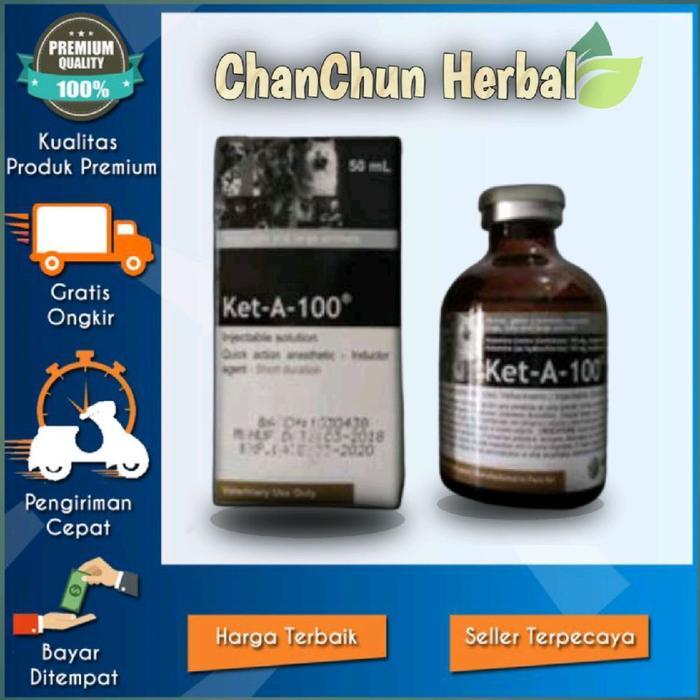 TERLARIS Ket-A-100 Obat Hewan Anestesi Original