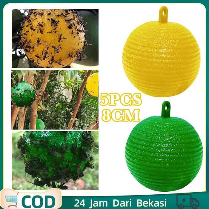 Rulbimart - Perangkap Lalat Buah Lem Alat Perangkap Lalat Buah Petrogenol Perangkap Lalat Buah Bola