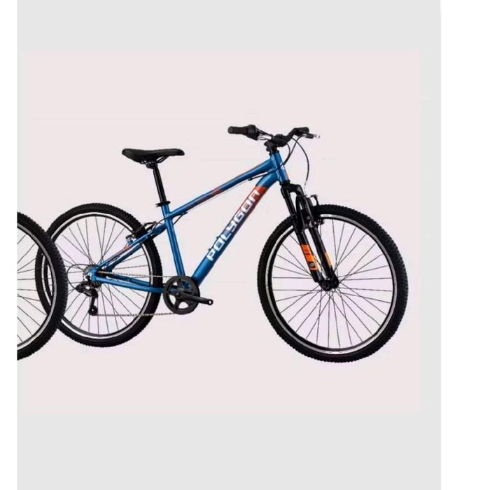 Sepeda MTB Polygon Active 26 SP  Inch Sepeda Gunung Polygon Active 26 SP - biru
