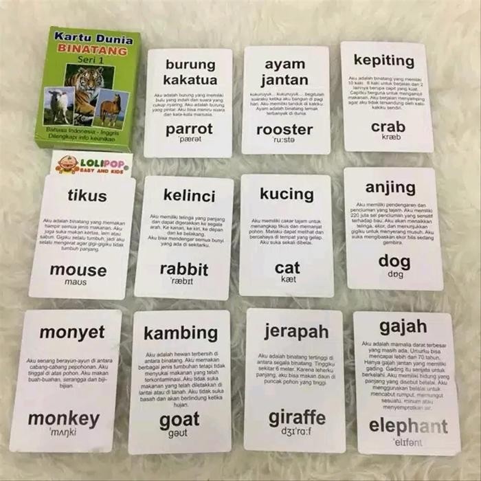 (Best) Kartu Binatang Seri 1 Flash Card Bayi Murah Hewan - Mainan Edukasi Ana