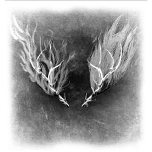 Cd Album - Adrian Adioetomo - Adrian Adioetomo Official