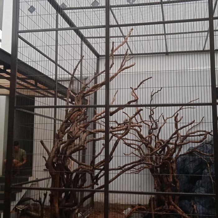 kandang burung besar (aviary)
