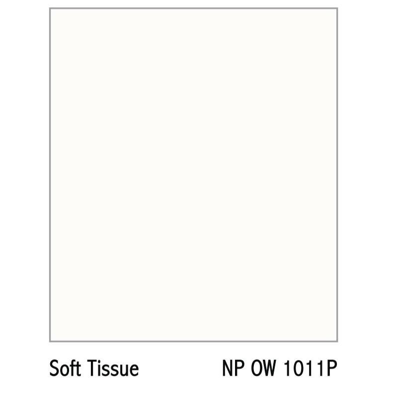 Cat Nippon Soft Tissue 1011 P 2.5L / 5Kg Paint Spotless #Gratisongkir