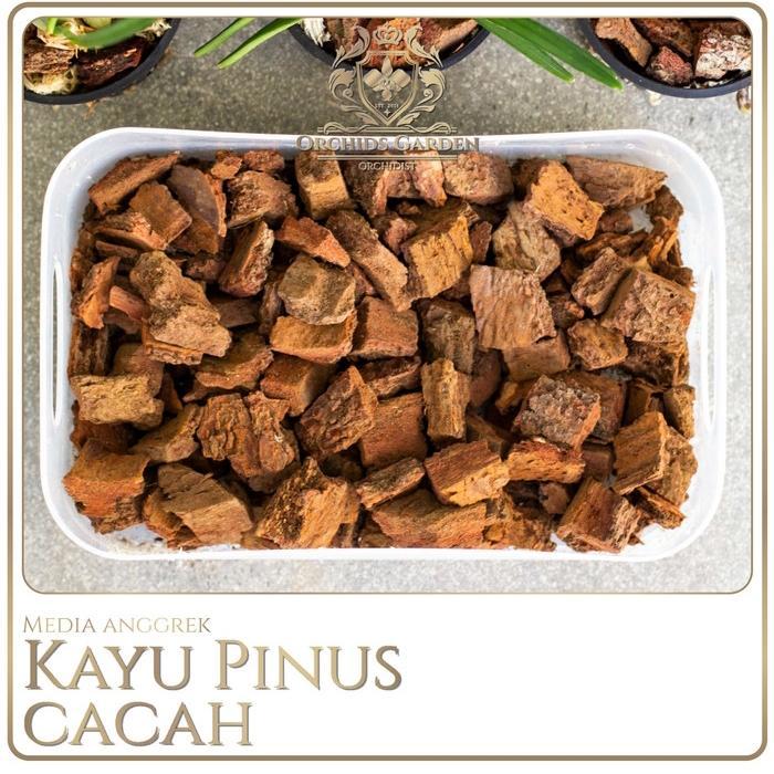 Orchidsgarden Media Anggrek Isi Pot Anggrek Potongan Kayu Pinus Cacah 1 Kg Untuk Kayu Cacah Ukuran
