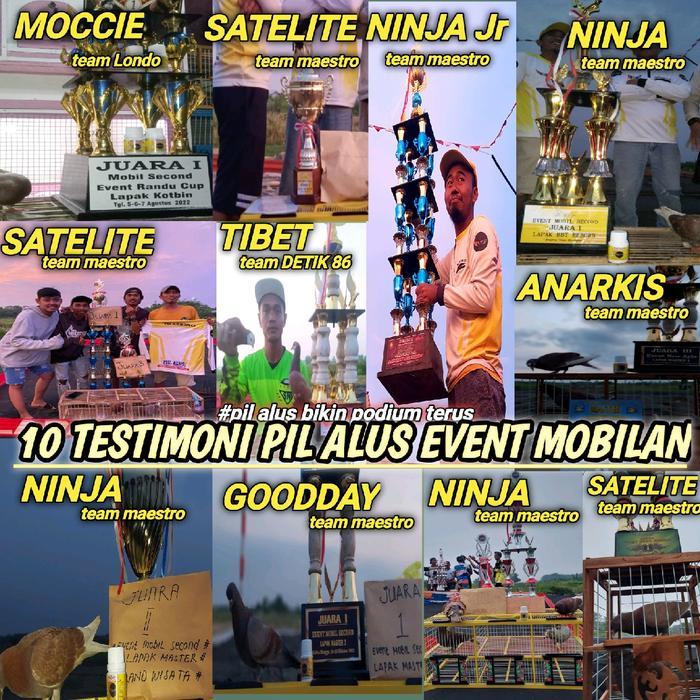 33og- Jamu Burung Merpati Kolong Pil Alus Merah Khusus Bahan Dan Player Ninggal Isi 120