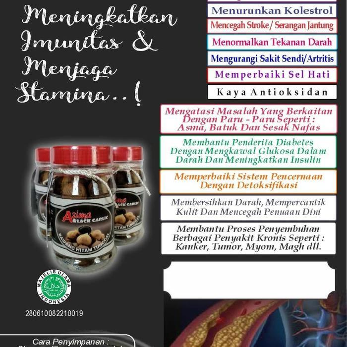 READY Black Garlic Bawang Hitam Tunggal Fermentasi dari Bawang Putih Lanang