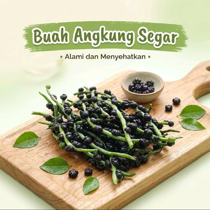 Buah Angkung Segar Asli Obat Stroke Buah Angkung Herbal Organik 100%