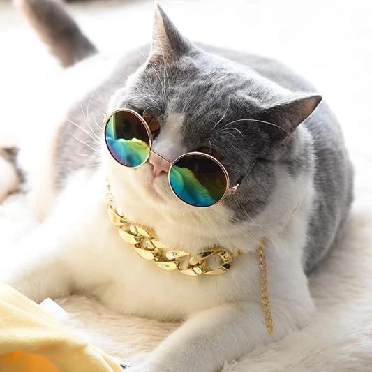Kalung Emas Anjing Kucing / Aksesoris Kalung Rantai Anjing / Kalung Anjing Pitbull Bulldog