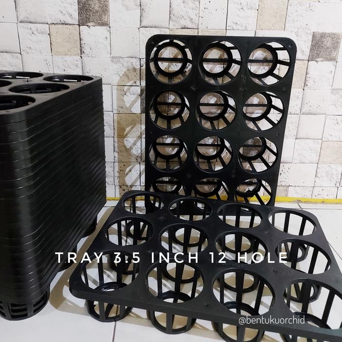 uikb Tray Semai 3.5 Inch 12 Hole/ Tray Anggrek/ Tray Semai Tanaman