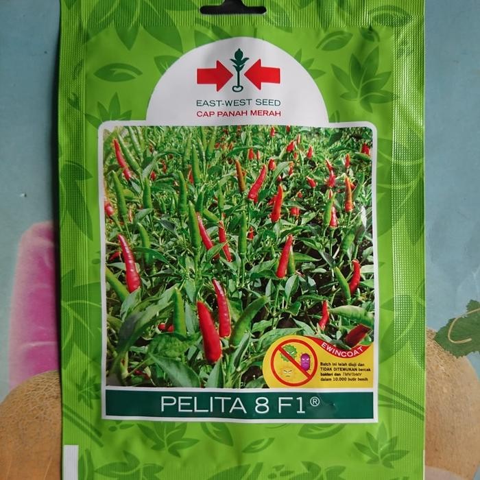 uikb Cabe Rawit Hijau Hibrida Pelita8 F1 Isi 350 Biji