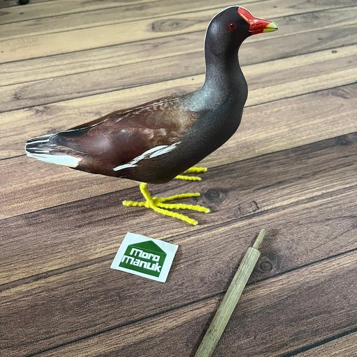 Patung Jontrot Burung Mandar Batu - Decoy Burung Mandar - Manekin burung Mandar besar