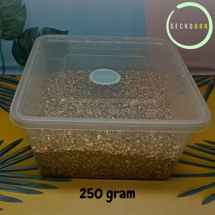 Terbaru Vermiculite Kotak Besar Media Inkubasi Inkubator Telur Reptil Gecko Kura Varian Plus Besar