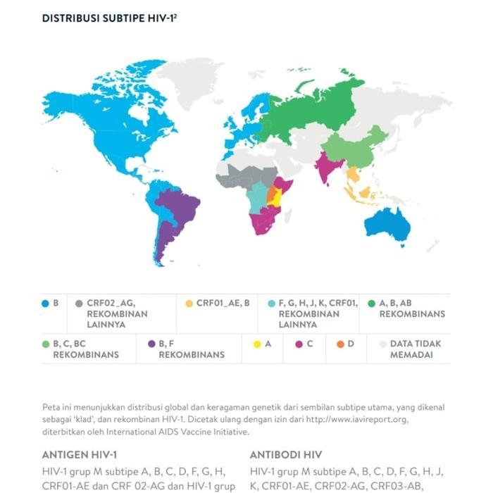 gugg- Test Hiv Abbott 1 Set Lengkap Mandiri Generasi 4.0 Abbott