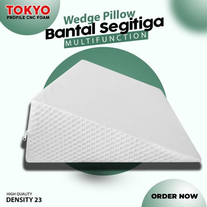 BANTAL KESEHATAN SEGITIGA MULTIFUNGSI / BANTAL asam lambung