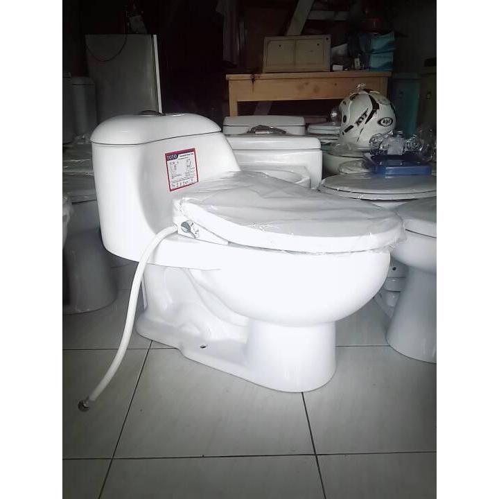 Closet duduk merek toto CW 894 j model kodok