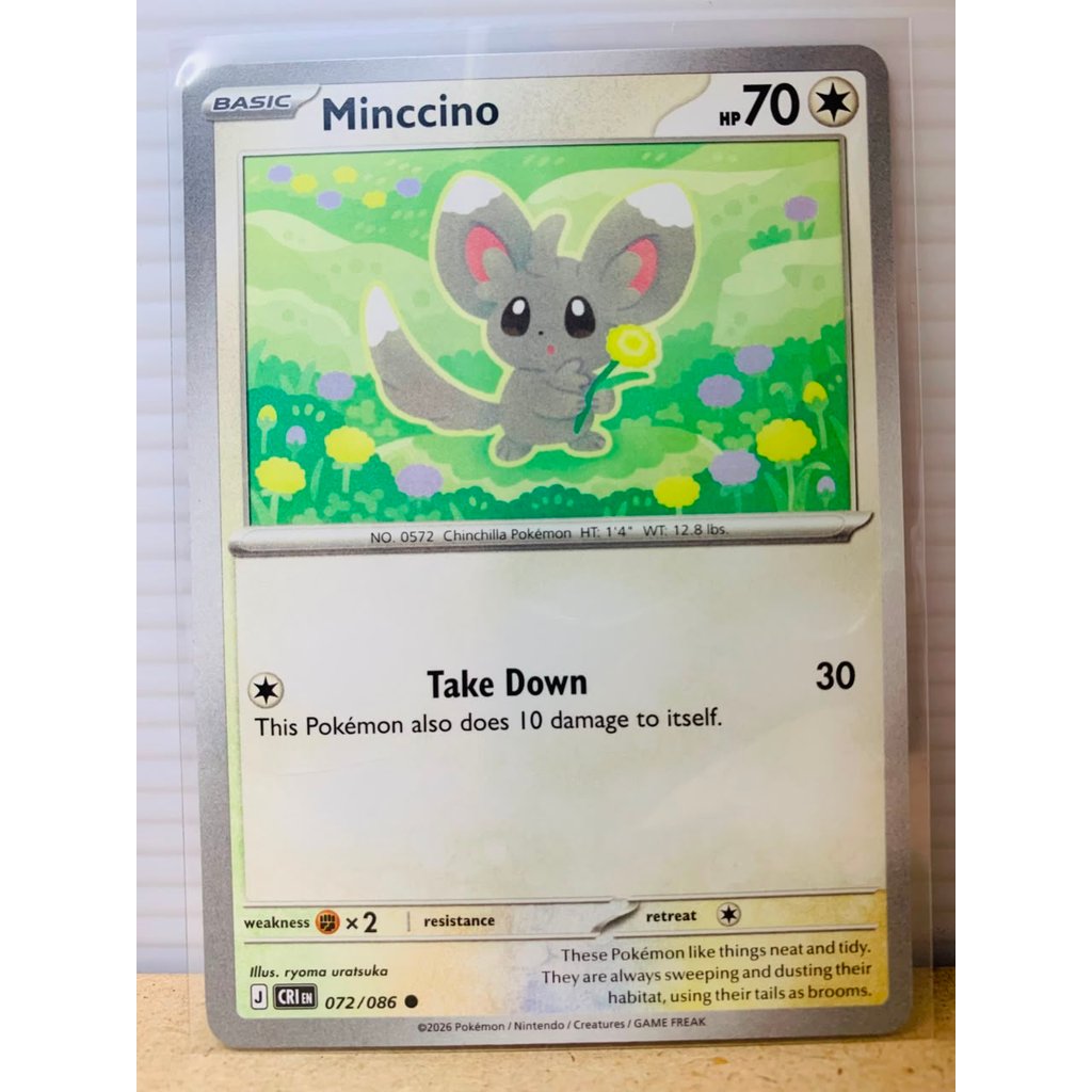 Minccino #72 Pokemon Chaos Rising