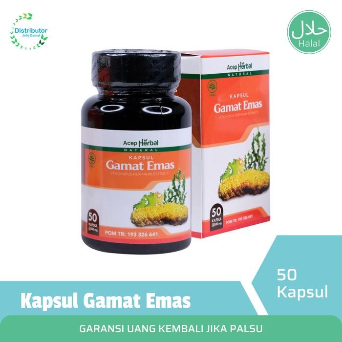 Best Seller Walatra Gamat Emas Kapsul Asli 100%, Kapsul Gamat, Gamat Kapsul