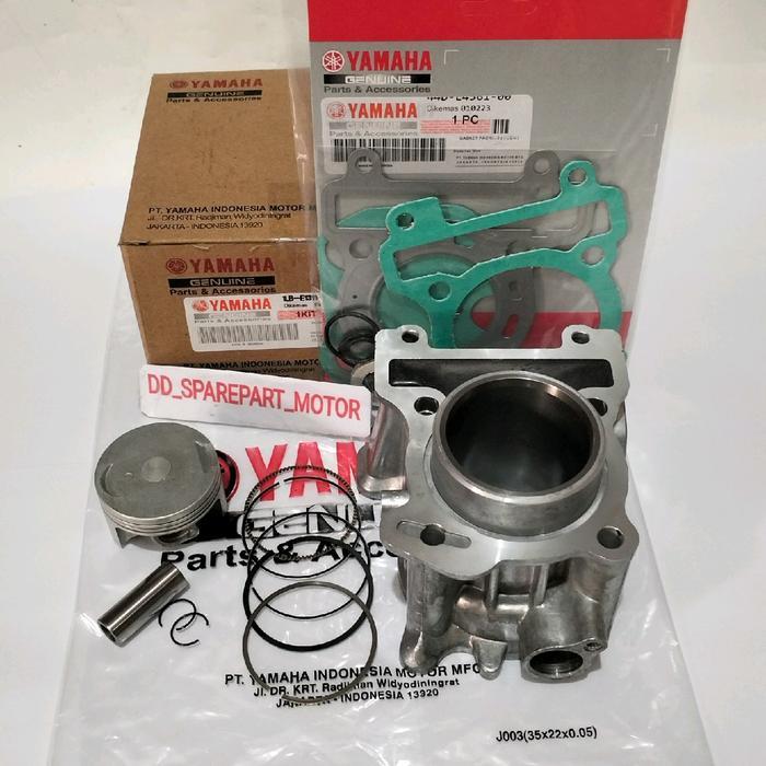 Blok seher Xeon rc injeksi Xeon GT 125 injeksi (1LB)