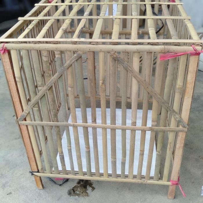 Kandang Ayam Bambu / Kandang Rakit Bambu Segiempat Kotak Original