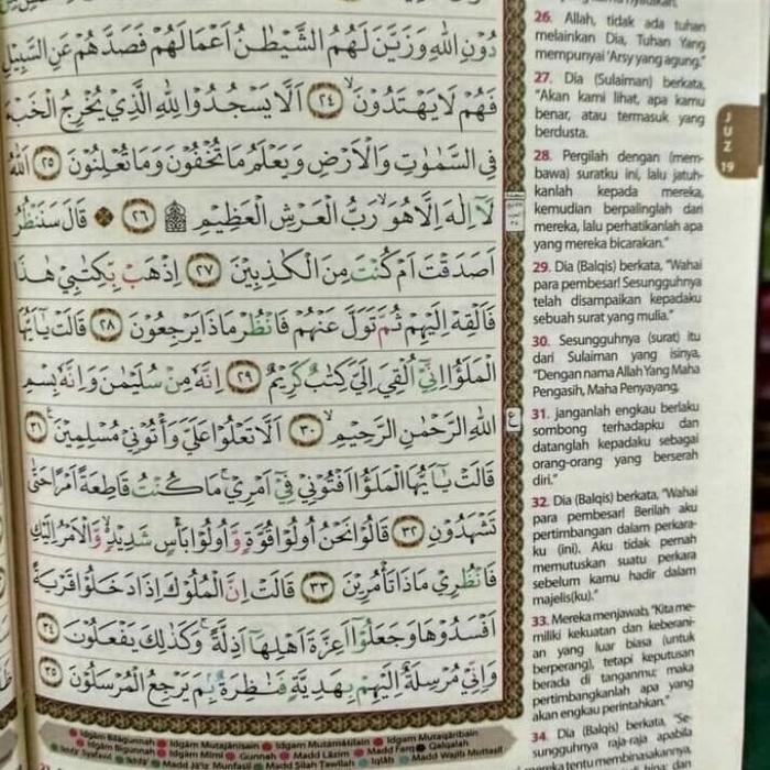 Sedia Al quran Al qahira mushaf terjemah dan tajwid warna A3