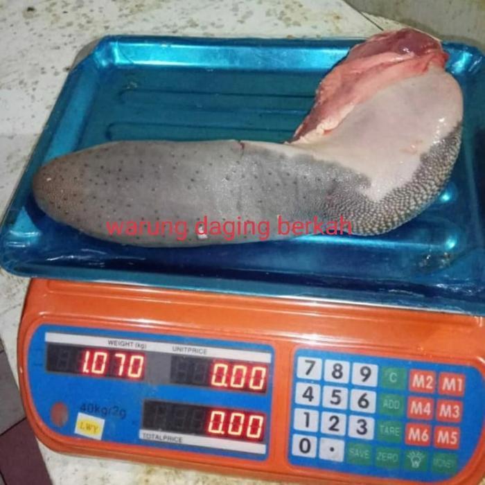 READY lidah sapi lokal fresh