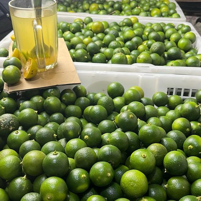1KG JERUK KASTURI / JERUK KALAMANSI / JERUK SONKIT KASTURI
