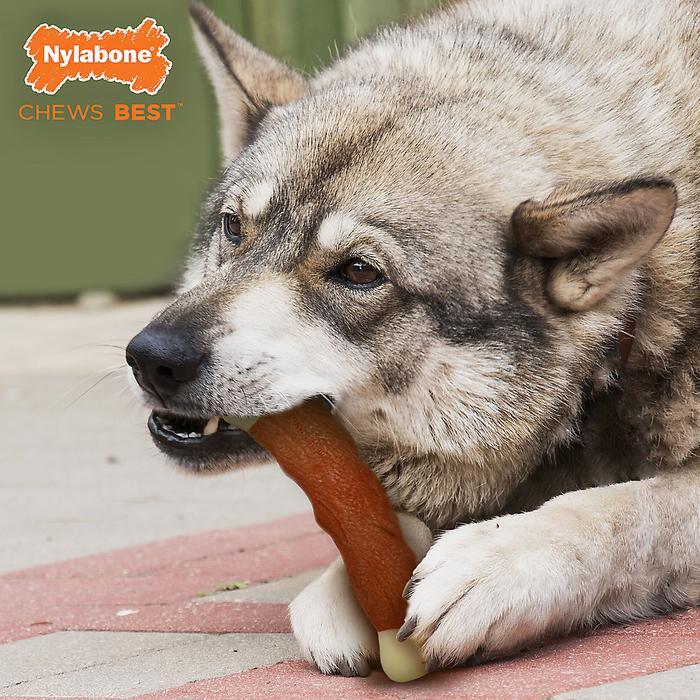 Nylabone Power Chew Animal Part Alternative Rib Beef Nr600P