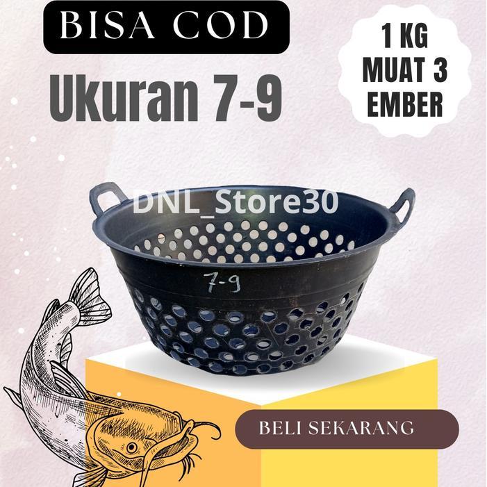 Cairomartt- Paket Isi 5 Ember Sortir Ikan Lele /Ember Sortir/Bak Sortir Ikan /Ember Ikan Lele/Ember