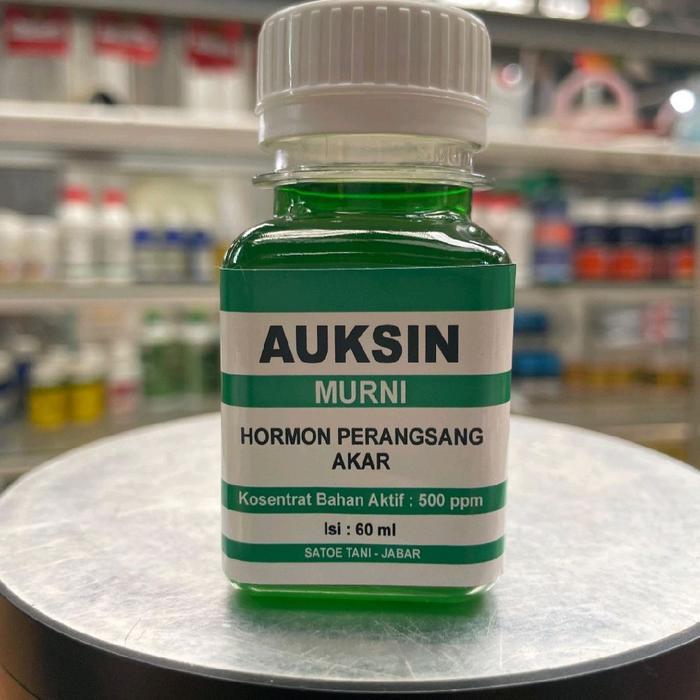 Auksin Hormon Perangsang Akar
