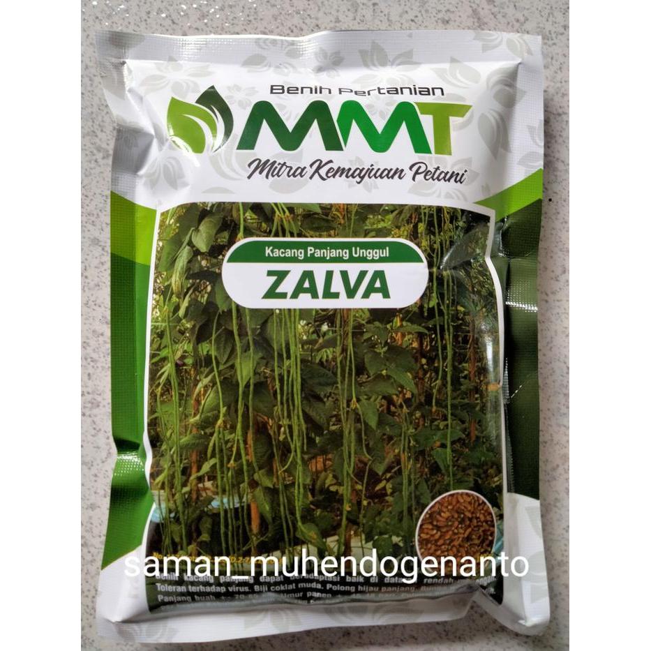 Ready Benih Kacang Panjang ZALVA 500 Gram - Bibit Kacang Panjang zalva Jalva jalpa zalfa jalfa jalva