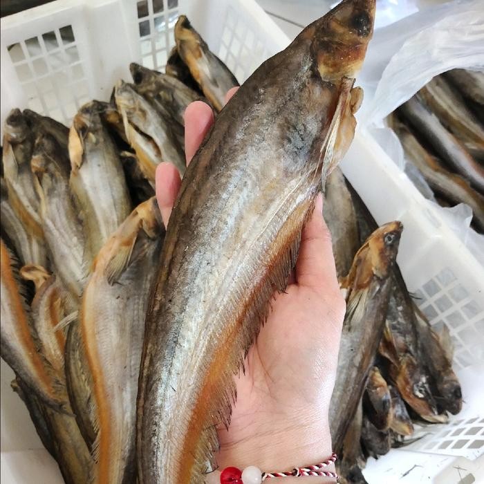 Ikan Asin Lais 1/2 KG , Kering Food