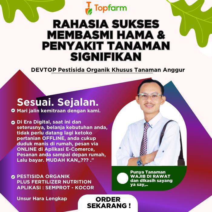 Obat Semprot Hama Tanaman Anggur / Pestisida Organik Devtop / Obat Hama Bercak Daun Anggur /