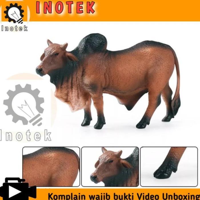 Ready Mainan Sapi Berpunuk Miniatur Sapi Hewan Kurban