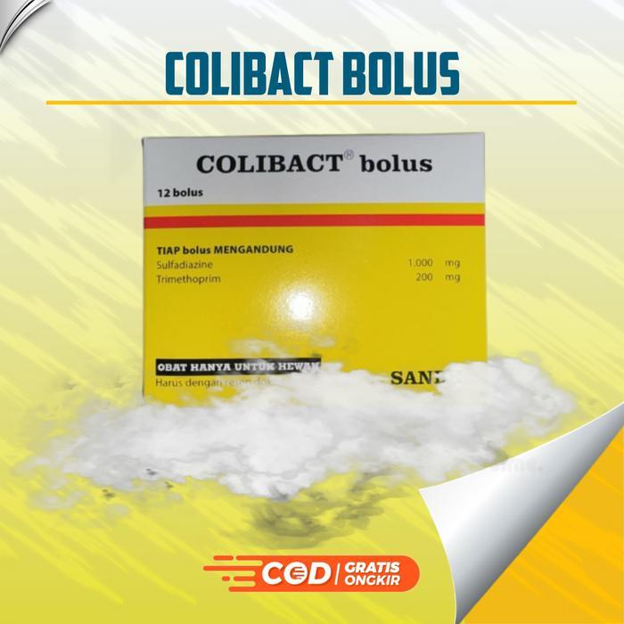 BIGSALE COLIBACT 12 BOLUS OBAT HEWAN SANBE