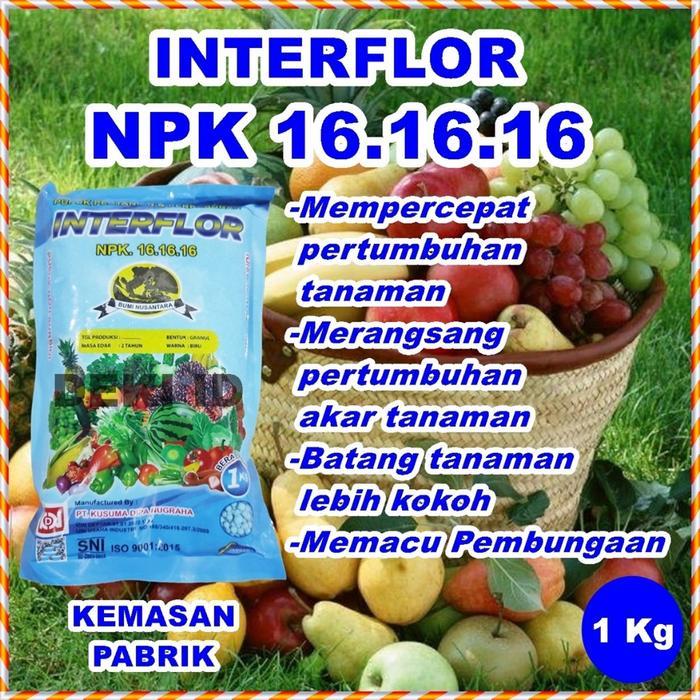 Pupuk Interflor 1 Kg NPK 161616 Kemasan Pabrik Nutrisi Pertumbuhan Tanaman Mutiara Pak Tani