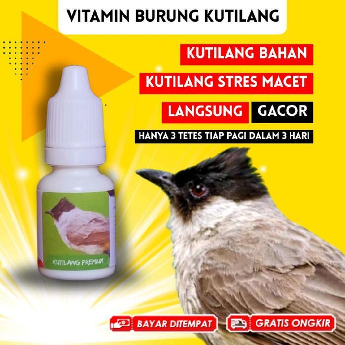 Vitamin Burung Kutilang Gacor