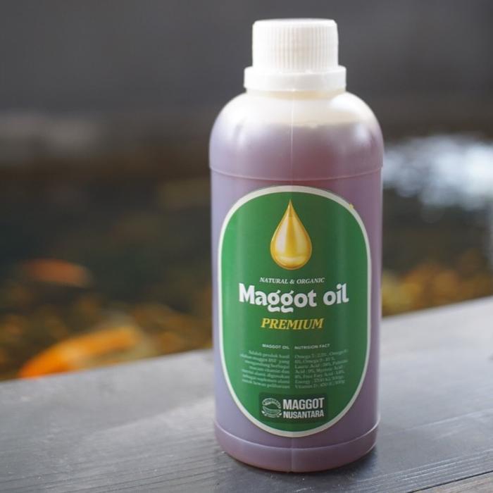 Maggot Bsf Oil 500Ml - Minyak Maggot - Maggot Nusantara
