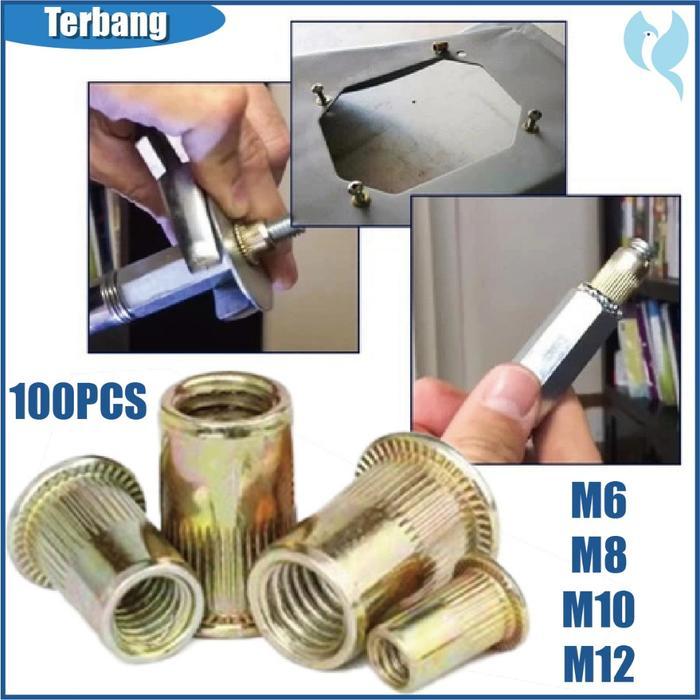 100Pcs Rivet Nut M6 M8 M10 M12 / Insert Nut / Mur Rivet / Nutsert / Mur Tanam Diskon Sell