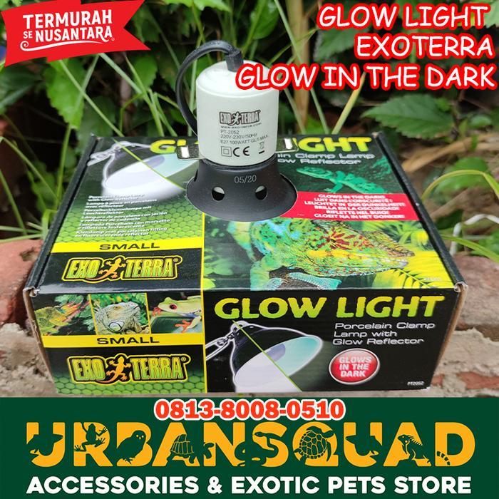 Bp Fitting Lampu Exoterra Glow Light S Kura Sulcata Pardalis Aldabra