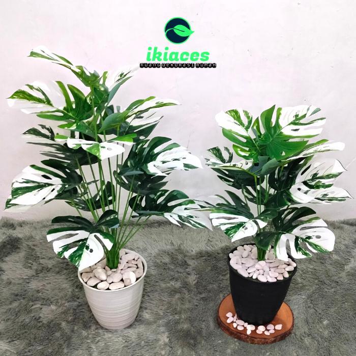 POHON MONSTERA JUMBO ARTIFICIAL DAUN MONSTERA PLASTIK POT MONSTERA