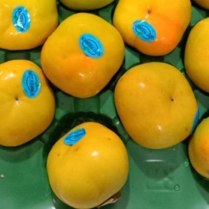 READY Buah Kesemek /Persimmon 1 kg