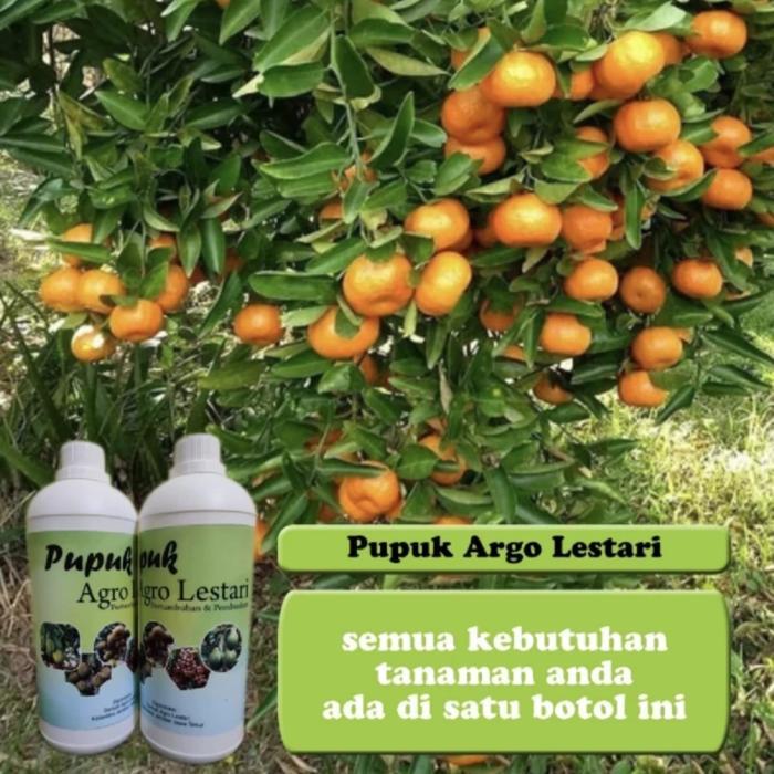 Pupuk Penyubur Dan Pelebat Buah Pupuk Agro Lestari